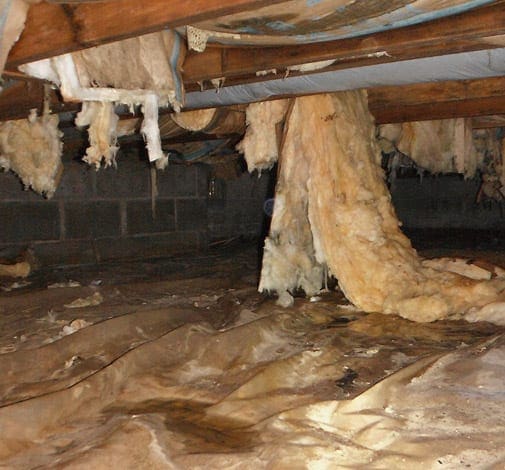 Crawlspace Nav Crawlspace repair solutions and services
