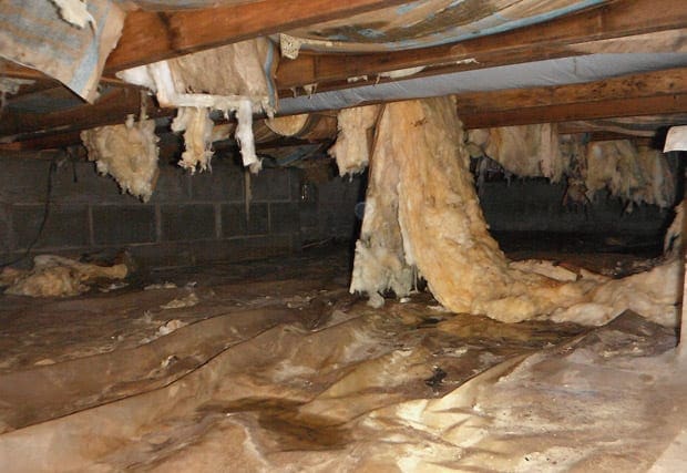 free crawl space inspection free crawl space inspection