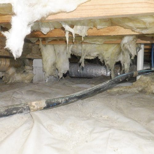 Insulation Damage Insulation Damage