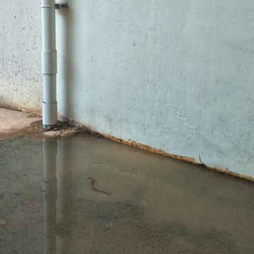 Standing Water