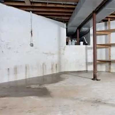 Wet carpet, drywall, or floors