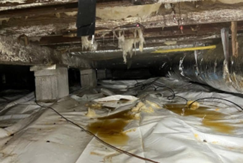 How Do I Know My Crawlspace Needs Attention? How Do I Know My Crawlspace Needs Attention?