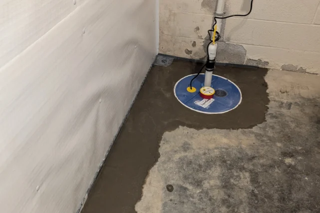 Damp Basement Solutions