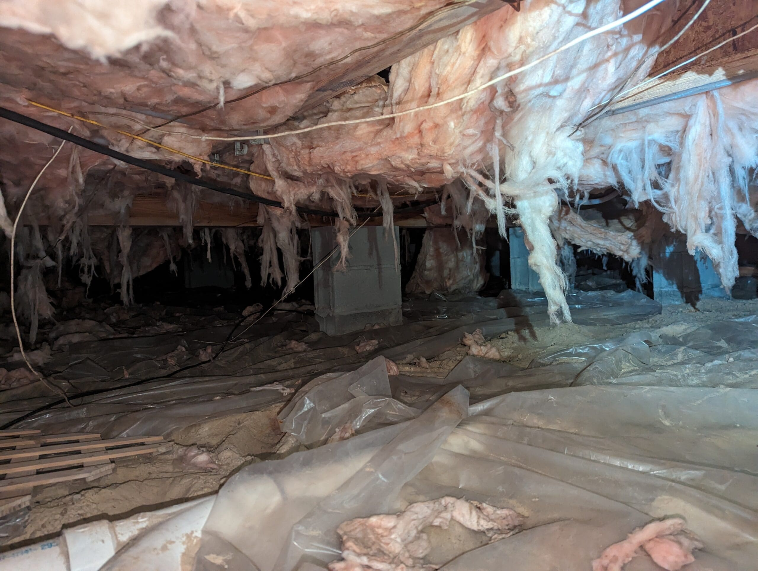 Pxl 20240617 122945448