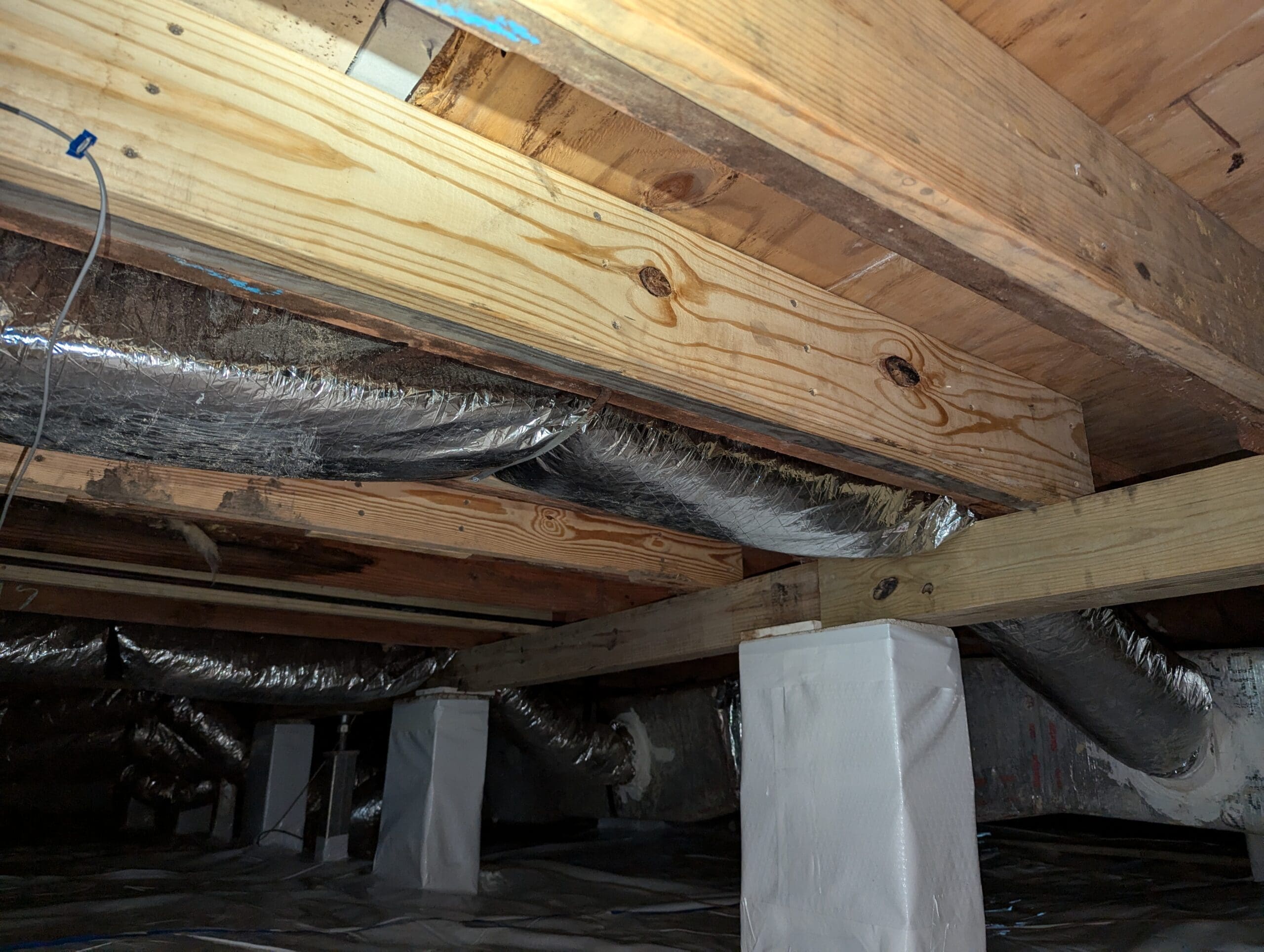 Pxl 20250521 161521550