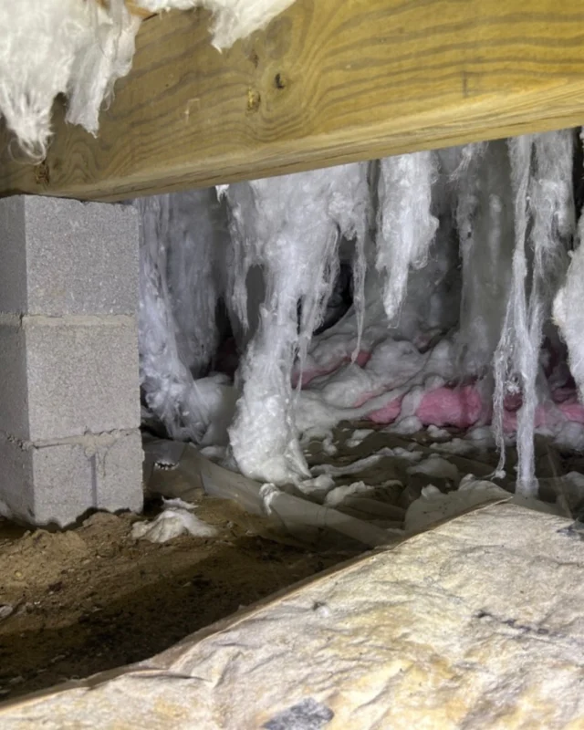 If your crawlspace looks like this… you’re basically rolling out the red carpet for pests.😅 🕸️🐭 Don’t let them make themselves at home! A clean, conditioned crawlspace protects your home from the ground up. 🕷️

 #crawlspace #crawlspacemedic #CrawlSpaceRepair #CrawlSpaceSolutions