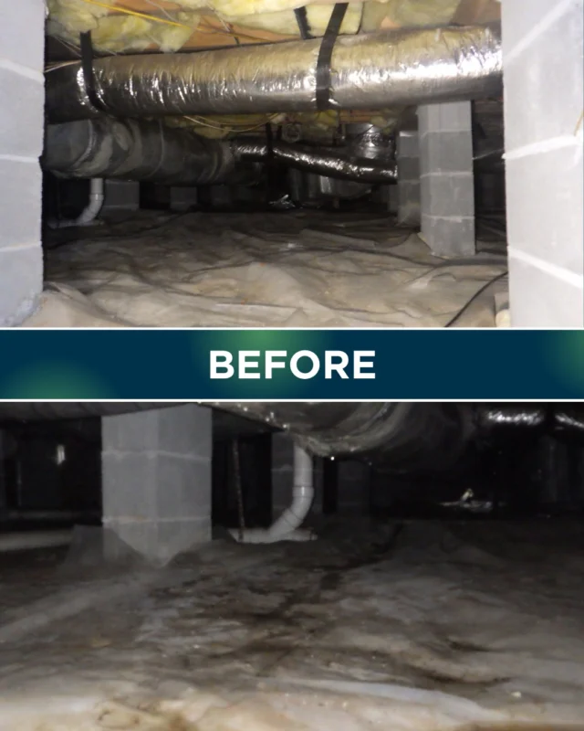 ✨ From damp and messy to clean and protected! ✨
Swipe ➡️ to see this crawlspace transformation before vs. after encapsulation. Big difference, right? 💪
Would you feel comfortable with your crawlspace looking like the “before”? 👀
 #crawlspacerepair #transformations #beforeafter